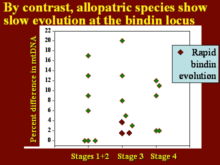 Slide #30.                      Stages 1+2    Stage 3   Stage 4         <BR>