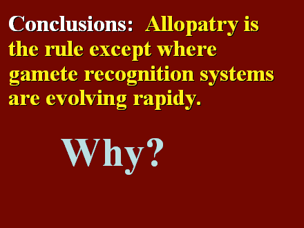 Slide #37. Conclusions:  Allopatry is the rule except where gamete recognition systems are evolving rapidy.
