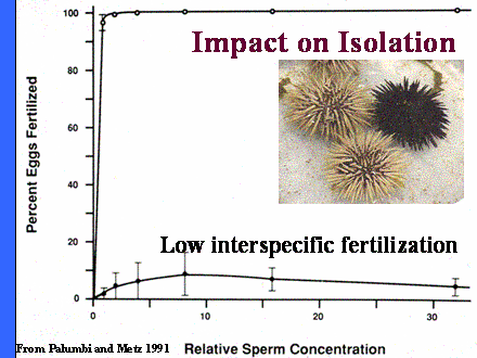 Slide #38. Impact on Isolation