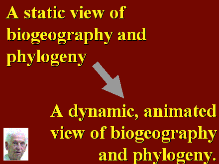 Slide #4. A static view of biogeography and phylogeny
