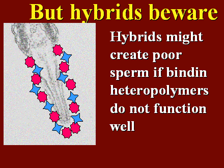 Slide #43. But hybrids beware