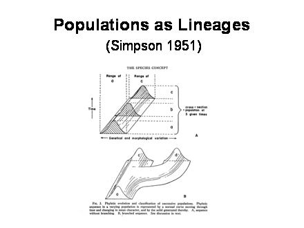 Slide #12. Populations as Lineages