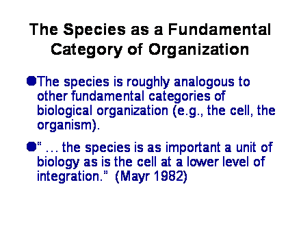 Slide #17. The Species as a Fundamental Category of Organization