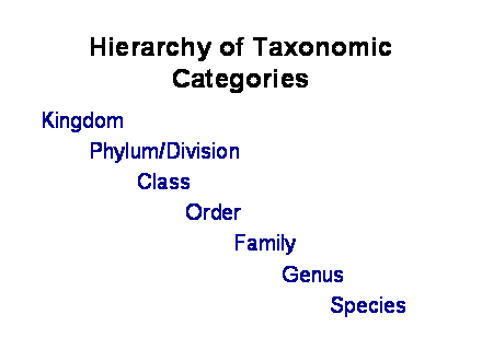 Slide #2. Hierarchy of Taxonomic Categories