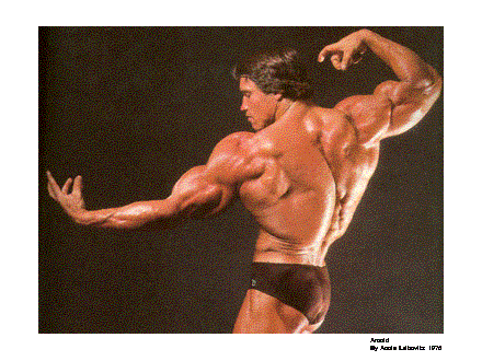 Slide #34. Arnold <BR>By Annie Leibovitz  1976
