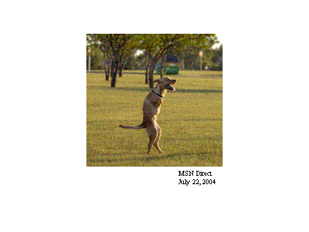 Slide #35. MSN Direct<BR>July 22, 2004