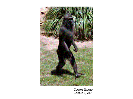 Slide #36. Current Science<BR>October 8, 2004