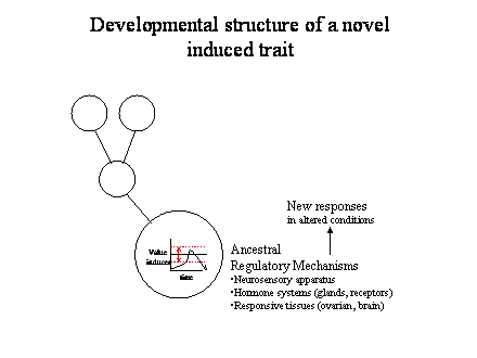 Slide #50. Ancestral<BR>Regulatory Mechanisms<BR>Neurosensory apparatus<BR>Hormone systems (glands, receptors)<BR>Responsive tissues (ovarian, brain)