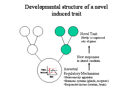 Slide #51. Ancestral<BR>Regulatory Mechanisms<BR>Neurosensory apparatus<BR>Hormone systems (glands, receptors)<BR>Responsive tissues (ovarian, brain)