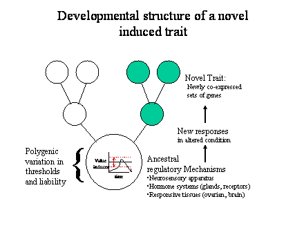 Slide #52. Ancestral <BR>regulatory Mechanisms<BR>Neurosensory apparatus<BR>Hormone systems (glands, receptors)<BR>Responsive tissues (ovarian, brain)