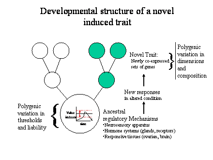 Slide #53. Ancestral <BR>regulatory Mechanisms<BR>Neurosensory apparatus<BR>Hormone systems (glands, receptors)<BR>Responsive tissues (ovarian, brain)