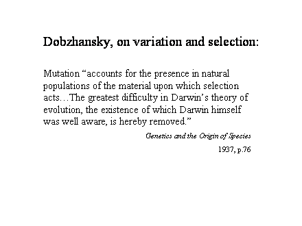 Slide #8. Mutation "accounts for the presence in natural populations of the material upon which selection actsThe greatest difficulty in Darwins theory of evolution, the existence of which Darwin himself was well aware, is hereby removed."<BR>Genetics and the Origin of Species<BR>1937, p.76<BR>                                                                                        