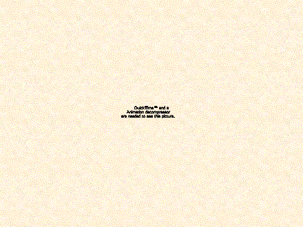 Slide #11. Slide 11