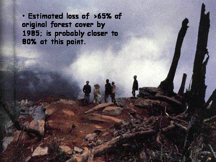 Slide #16.  Estimated loss of >65% of original forest cover by 1985; is probably closer to 80% at this point.