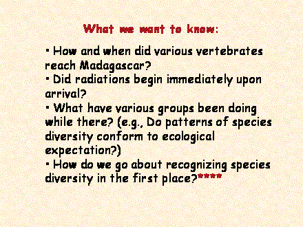 Slide #17.  How and when did various vertebrates reach Madagascar?<BR> Did radiations begin immediately upon arrival?<BR> What have various groups been doing while there? (e.g., Do patterns of species diversity conform to ecological expectation?)<BR> How do we go about recognizing species diversity in the first place?****