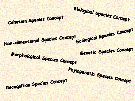 Slide #2. Non-dimensional Species Concept