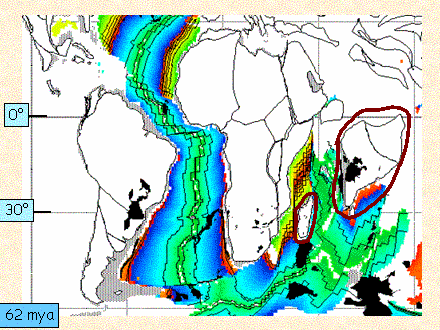 Slide #22. 62 mya