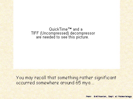 Slide #23. You may recall that something rather significant occurred somewhere around 65 mya 