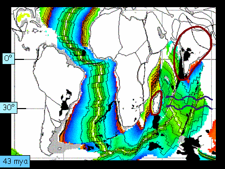 Slide #25. 43 mya