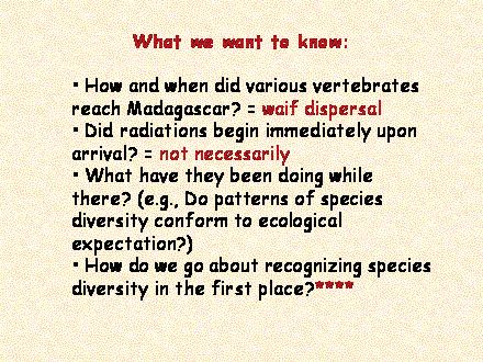 Slide #28.  How and when did various vertebrates reach Madagascar? = waif dispersal<BR> Did radiations begin immediately upon arrival? = not necessarily<BR> What have they been doing while there? (e.g., Do patterns of species diversity conform to ecological expectation?)<BR> How do we go about recognizing species diversity in the first place?****
