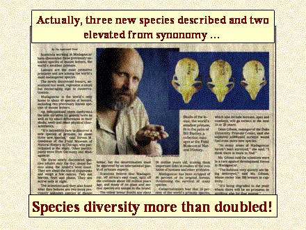 Slide #30. Actually, three new species described and two elevated from synonomy  