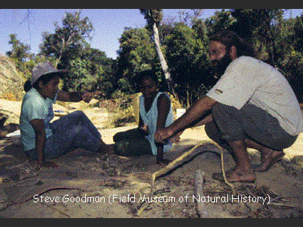 Slide #31. Steve Goodman (Field Museum of Natural History)