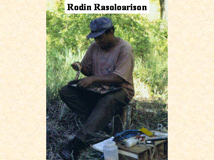 Slide #34. Rodin Rasoloarison