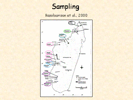 Slide #35. Sampling