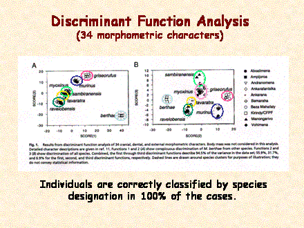 Slide #36. Discriminant Function Analysis<BR>(34 morphometric characters)