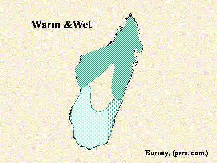 Slide #43. Warm &Wet