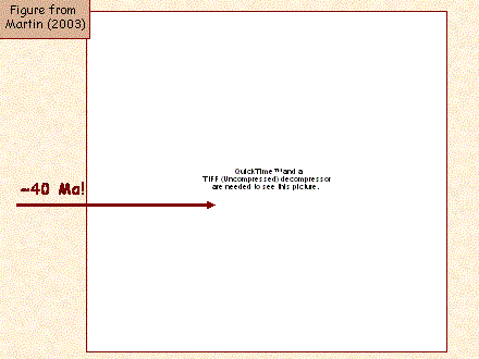Slide #49. Figure from <BR>Martin (2003)