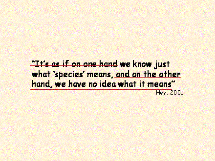 Slide #5. "Its as if on one hand we know just what species means, and on the other hand, we have no idea what it means"<BR>Hey, 2001
