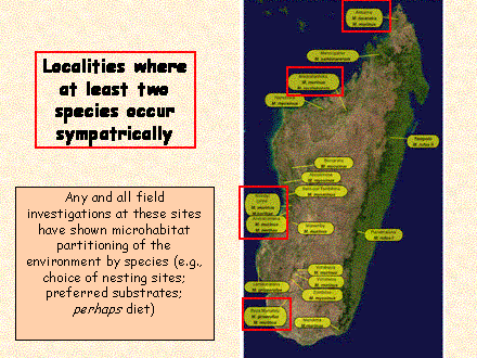 Slide #50. Localities where at least two species occur sympatrically