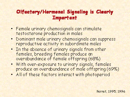 Slide #54. Olfactory/Hormonal Signaling is Clearly Important