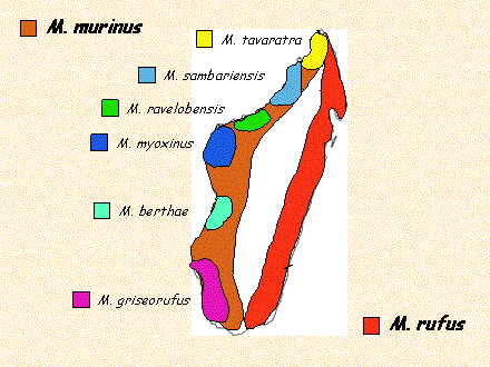 Slide #55. Slide 55