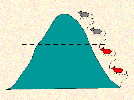 Slide #62. Slide 62