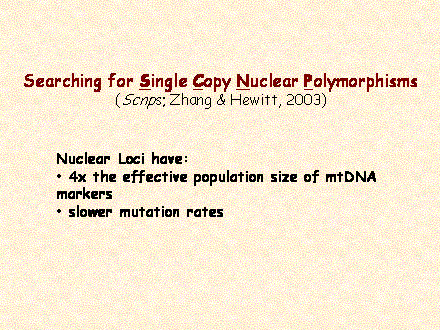 Slide #64. Nuclear Loci have:<BR> 4x the effective population size of mtDNA markers <BR> slower mutation rates