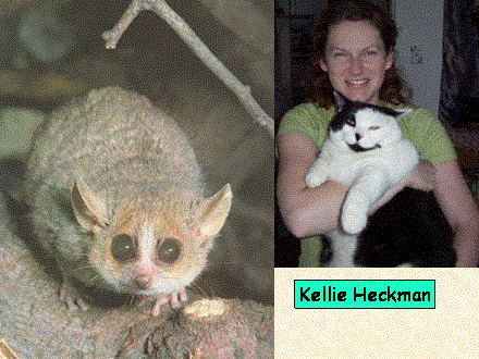 Slide #65. Kellie Heckman