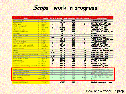 Slide #66. Scnps - work in progress