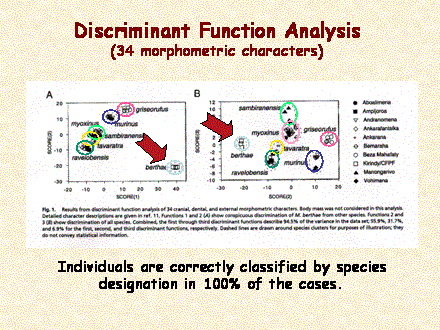 Slide #71. Discriminant Function Analysis<BR>(34 morphometric characters)