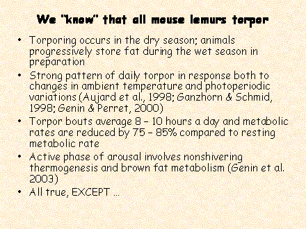 Slide #73. We know that all mouse lemurs torpor