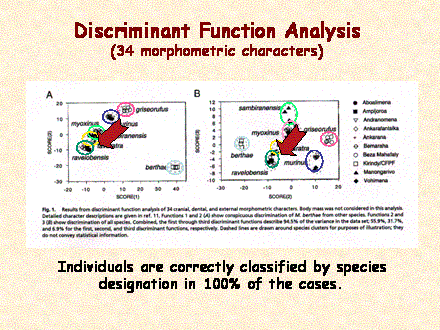 Slide #75. Discriminant Function Analysis<BR>(34 morphometric characters)