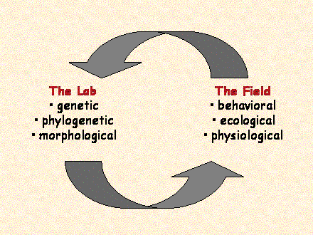 Slide #77. Slide 77