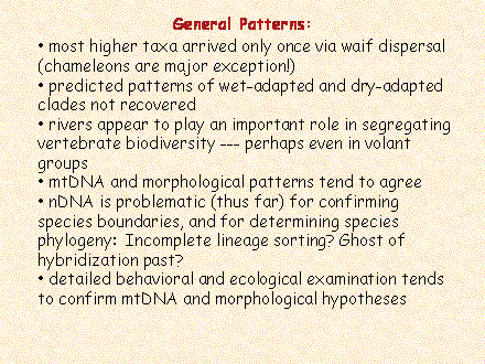Slide #78.  most higher taxa arrived only once via waif dispersal (chameleons are major exception!)<BR> predicted patterns of wet-adapted and dry-adapted clades not recovered<BR> rivers appear to play an important role in segregating vertebrate biodiversity --- perhaps even in volant groups<BR> mtDNA and morphological patterns tend to agree<BR> nDNA is problematic (thus far) for confirming species boundaries, and for determining species phylogeny:  Incomplete lineage sorting? Ghost of hybridization past?<BR> detailed behavioral and ecological examination tends to confirm mtDNA and morphological hypotheses