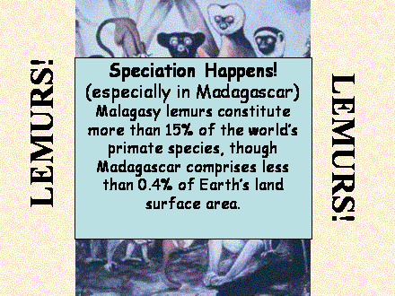 Slide #8. LEMURS!