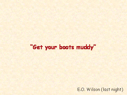 Slide #84. "Get your boots muddy"